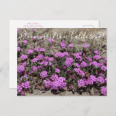 Bloomings aus Kalifornien: Rosa Sand Verbena Postkarte (Vorne/Hinten)