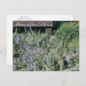 Bloomings aus Kalifornien: Sage Poppies Postkarte (Vorne/Hinten)