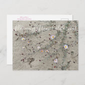 Bloomings aus Kalifornien: Sand Aster Postkarte (Vorne/Hinten)