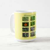 Bloomings aus Kalifornien! Tasse (Vorderseite Links)