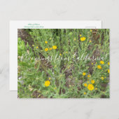 Bloomings aus Kalifornien: Telegrafenische Blume Postkarte (Vorne/Hinten)