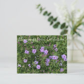 Bloomings aus Kalifornien: Verbena lilacina Postkarte (Stehend Vorderseite)