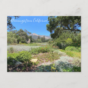 Bloomings aus Kalifornien: Western Columbine Postkarte