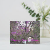 Bloomings aus Kalifornien: Western Redbud Postcard Postkarte (Stehend Vorderseite)