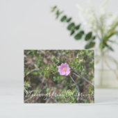Bloomings aus Kalifornien: Wilde Rose Postcard Postkarte (Stehend Vorderseite)