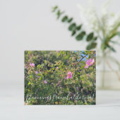 Bloomings aus Kalifornien: Wilde Rose Postcard Postkarte (Stehend Vorderseite)