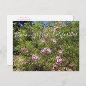 Bloomings aus Kalifornien: Wüste Willow Postkarte (Vorne/Hinten)