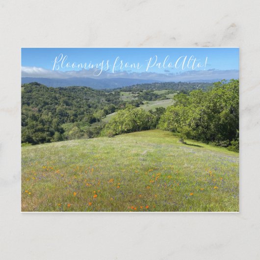 Bloomings aus Palo Alto! Postkarte (Vorderseite)