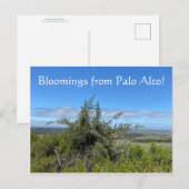 Bloomings aus Palo Alto! Postkarte (Vorne/Hinten)