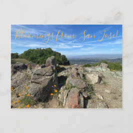 Bloomings aus San José! Postkarte