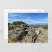 Bloomings aus San José! Postkarte (Vorne/Hinten)