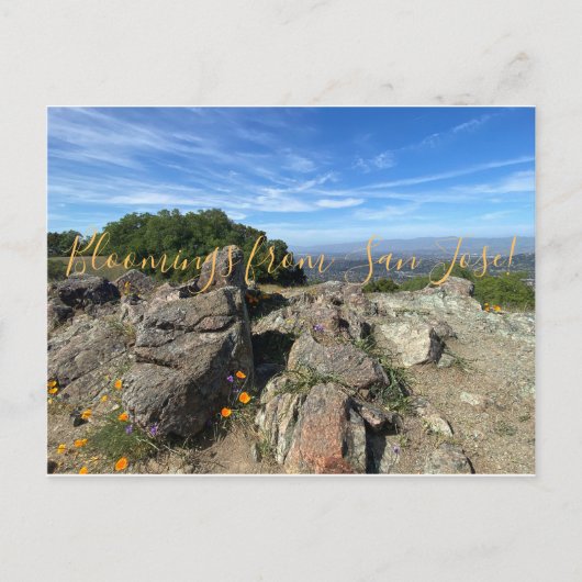 Bloomings aus San José! Postkarte (Vorderseite)