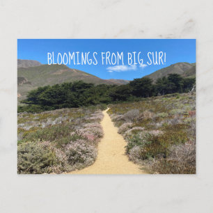 Bloomings von Big Sur! Postkarte
