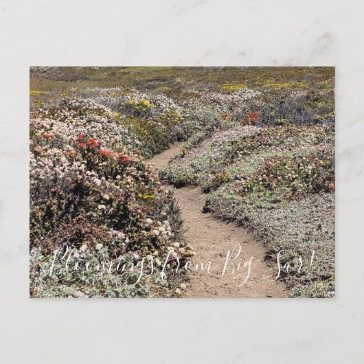 Bloomings von Big Sur! Postkarte (Vorderseite)