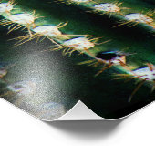 Blooms eines Saguaro Fotodruck (Ecke)