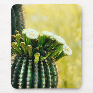 Blooms eines Saguaro Mousepad