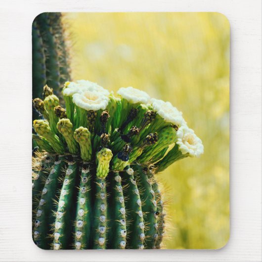 Blooms eines Saguaro Mousepad (Vorne)