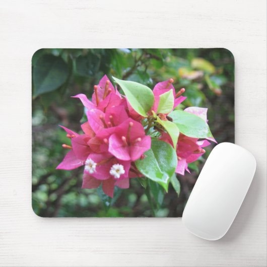 Blooms Mousepad (Mit Mouse)