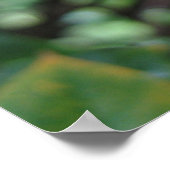 Blooms Poster (Ecke)