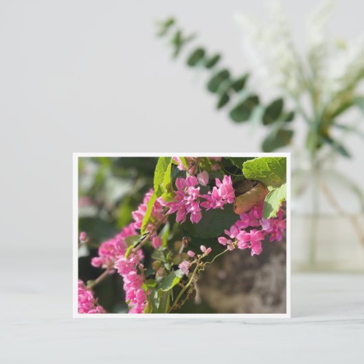 Blooms & Stings Postkarte (Stehend Vorderseite)