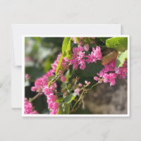 Blooms & Stings