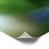 Blooms und Buds Poster (Ecke)