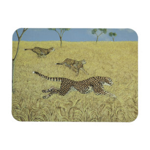 Bloße Geschwindigkeit Magnet