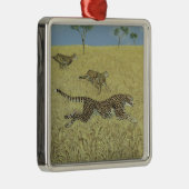 Bloße Geschwindigkeit Ornament Aus Metall (Rechts)