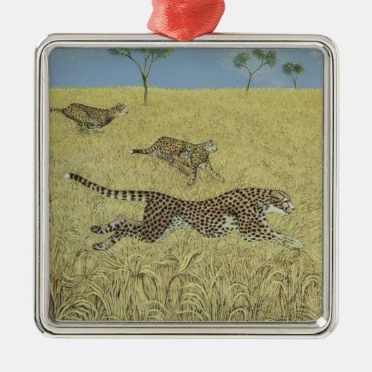 Bloße Geschwindigkeit Ornament Aus Metall (Vorne)