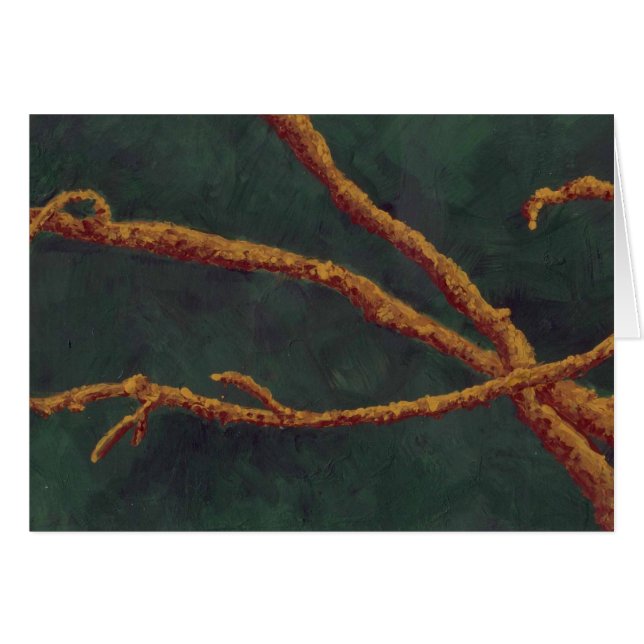 Bloße Niederlassungen (Vorderseite (Horizontal))