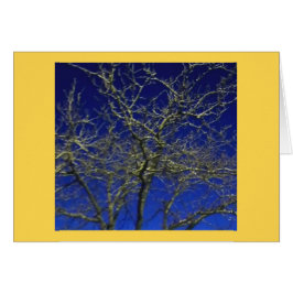 Bloßes Baum-… Zellen-Telefon-Foto 2016