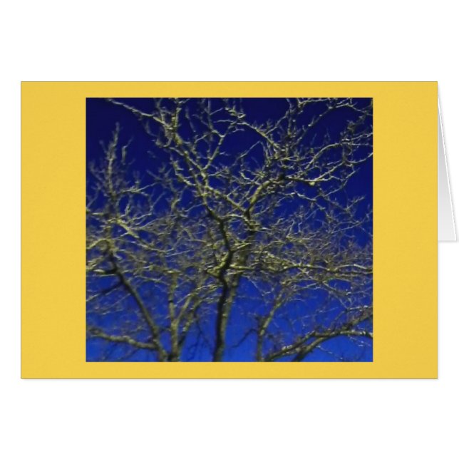 Bloßes Baum-… Zellen-Telefon-Foto 2016 (Vorderseite (Horizontal))