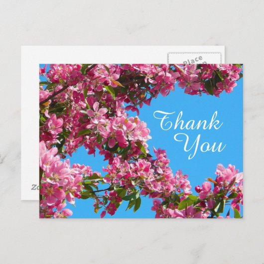 Blossom and Blue Sky Thank You Postkarte (Vorne/Hinten)