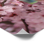 Blossom Art Pink Frühlingsbaum Blütendrucke Poster (Ecke)