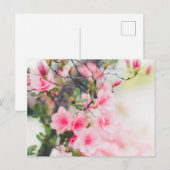 BLOSSOM-BLUME POSTCARD POSTKARTE (Vorne/Hinten)