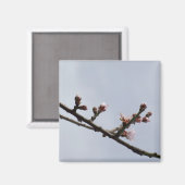 Blossom Branch Magnet (Vorderseite/Rückseite)