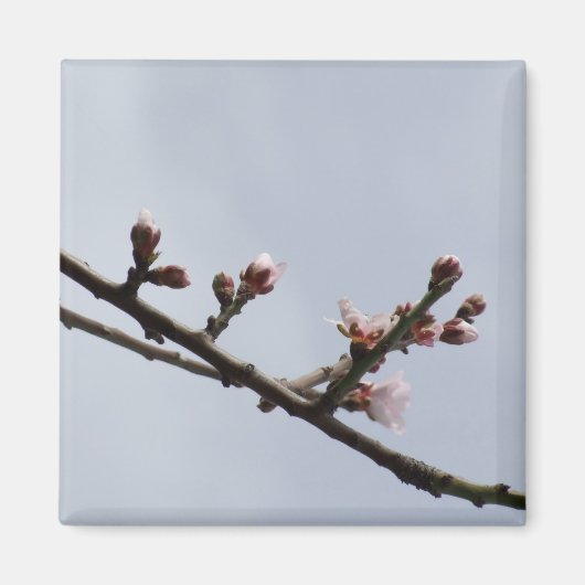 Blossom Branch Magnet (Vorne)
