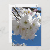 Blossom Bundle Postkarte (Vorne/Hinten)