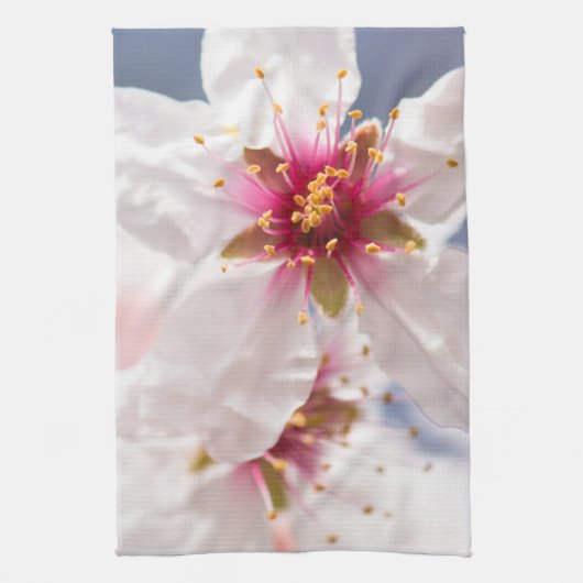 Blossom des Mandelbaums Geschirrtuch (Vertikal)