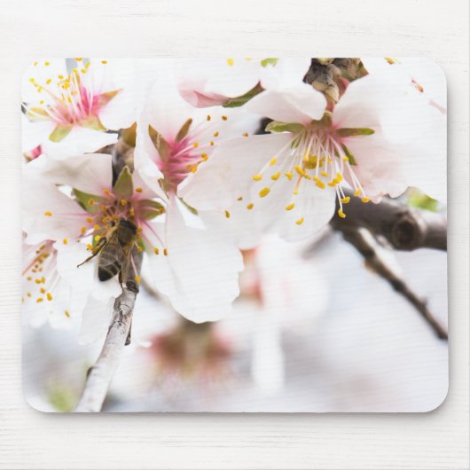 Blossom des Mandelbaums Mousepad (Vorne)