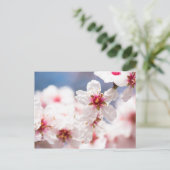 Blossom des Mandelbaums Postkarte (Stehend Vorderseite)