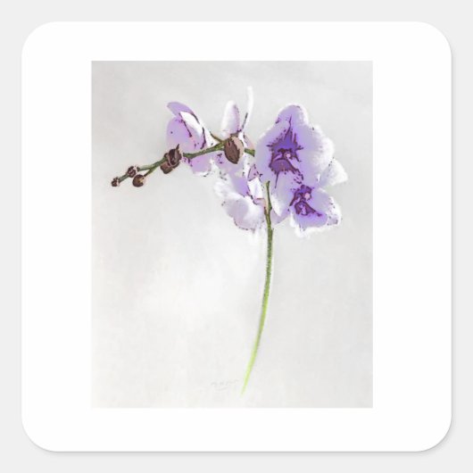 BLOSSOM-DRUCKSTECKER QUADRATISCHER AUFKLEBER (Vorderseite)