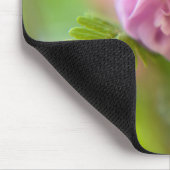 Blossom einer Aquilegia Mousepad (Ecke)