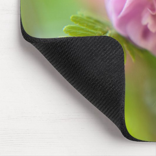 Blossom einer Aquilegia Mousepad (Ecke)