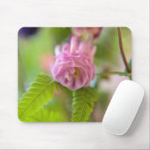Blossom einer Aquilegia Mousepad (Mit Mouse)
