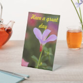 Blossom Elegance: Design des Wasserfarbenparadiese Sockelschild (In SItu)