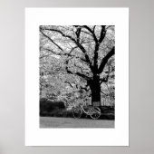 Blossom & Fahrrad: Japan Poster (Vorne)