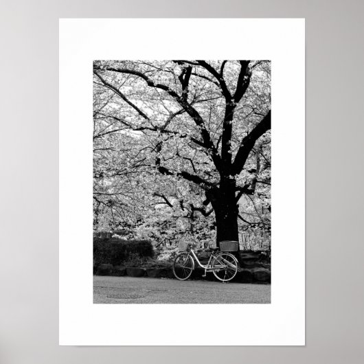 Blossom & Fahrrad: Japan Poster (Vorne)