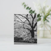 Blossom & Fahrrad: Japan Postkarte (Stehend Vorderseite)