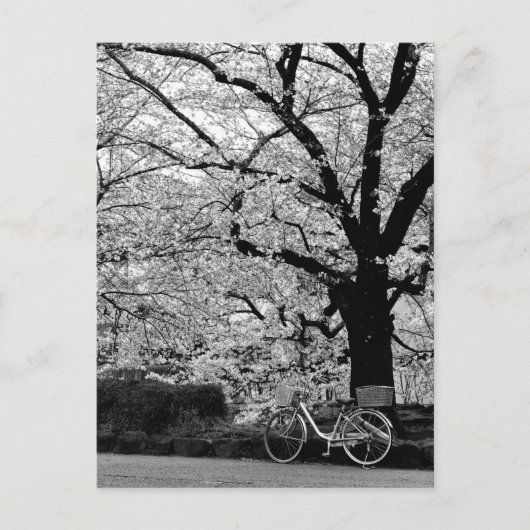 Blossom & Fahrrad: Japan Postkarte (Vorderseite)